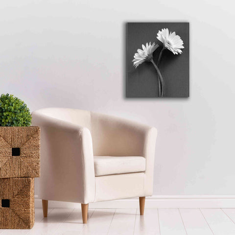 Image of 'Fresh Cut Daisy IV' by Debra Van Swearingen, Canvas Wall Art,20 x 24