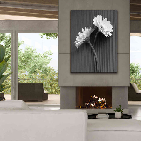 Image of 'Fresh Cut Daisy IV' by Debra Van Swearingen, Canvas Wall Art,40 x 54