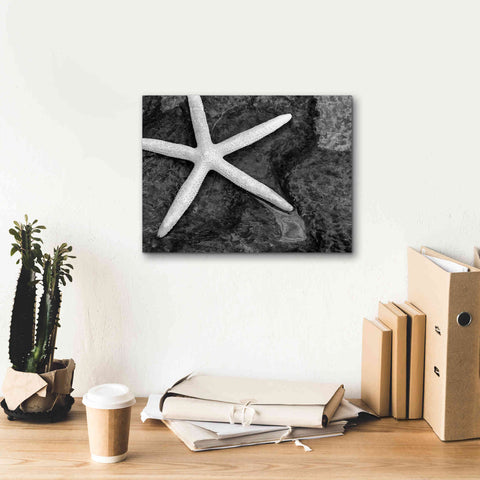 Image of 'Explore' by Debra Van Swearingen, Canvas Wall Art,16 x 12