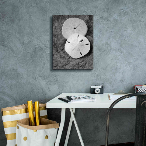 Image of 'Dream' by Debra Van Swearingen, Canvas Wall Art,12 x 16