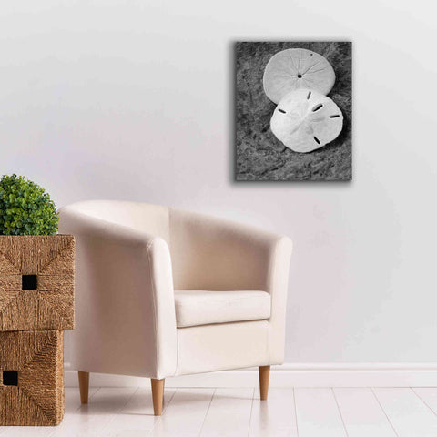 Image of 'Dream' by Debra Van Swearingen, Canvas Wall Art,20 x 24