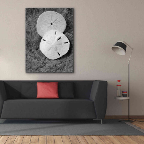 Image of 'Dream' by Debra Van Swearingen, Canvas Wall Art,40 x 54