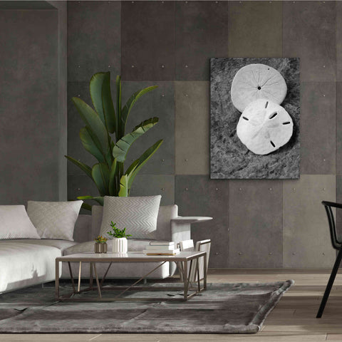 Image of 'Dream' by Debra Van Swearingen, Canvas Wall Art,40 x 54