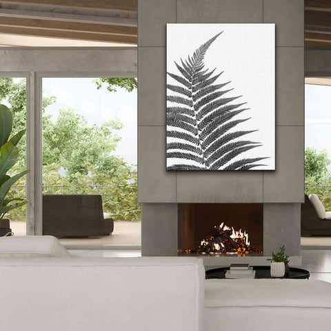 Image of 'Truth' by Debra Van Swearingen, Canvas Wall Art,40 x 54