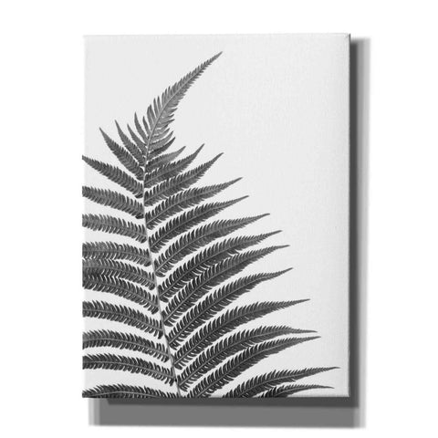 Image of 'Truth' by Debra Van Swearingen, Canvas Wall Art,12x16x1.1x0,20x24x1.1x0,26x30x1.74x0,40x54x1.74x0
