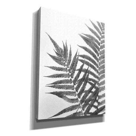 Image of 'Aspire' by Debra Van Swearingen, Canvas Wall Art,12x16x1.1x0,20x24x1.1x0,26x30x1.74x0,40x54x1.74x0