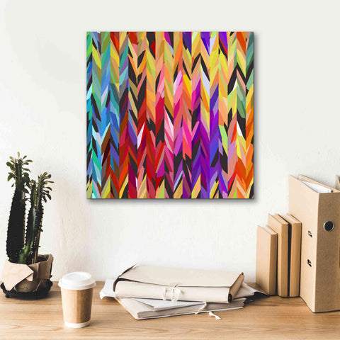 Image of 'Burst of Color' by Shandra Smith, Canvas Wall Art,18 x 18