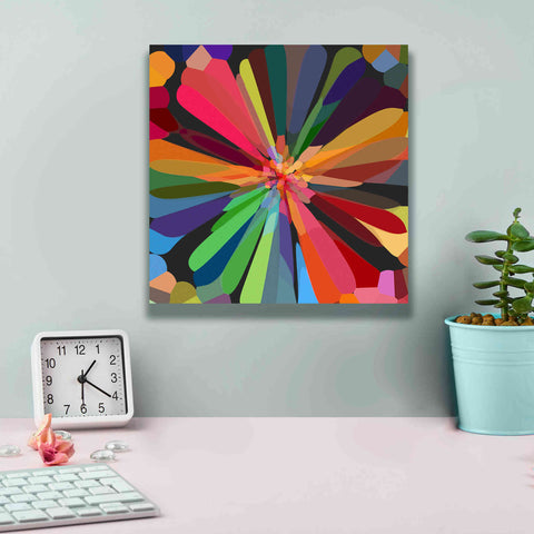 Image of 'Flower 12' by Shandra Smith, Canvas Wall Art,12 x 12
