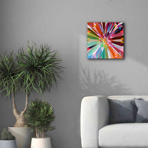 Image of 'Flower 16' by Shandra Smith, Canvas Wall Art,18 x 18