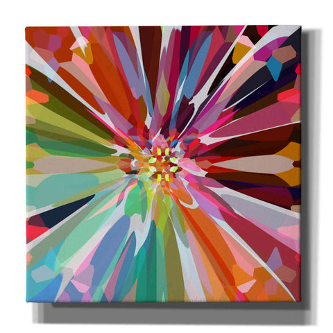 Image of 'Flower 16' by Shandra Smith, Canvas Wall Art,12x12x1.1x0,18x18x1.1x0,26x26x1.74x0,37x37x1.74x0