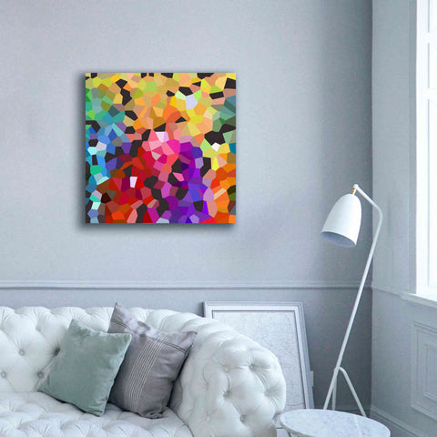 Image of 'Fooling Around' by Shandra Smith, Canvas Wall Art,37 x 37