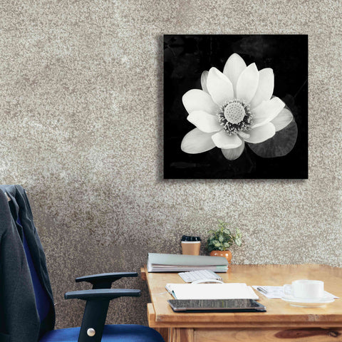 Image of 'Lotus Flower II' by Debra Van Swearingen, Canvas Wall Art,26 x 26