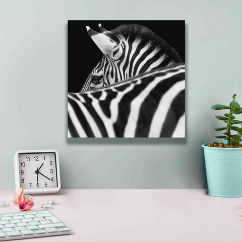 Image of 'Zebra III' by Debra Van Swearingen, Canvas Wall Art,12 x 12