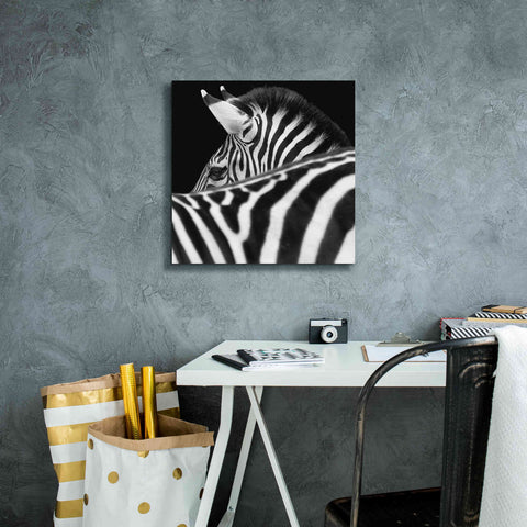 Image of 'Zebra III' by Debra Van Swearingen, Canvas Wall Art,18 x 18