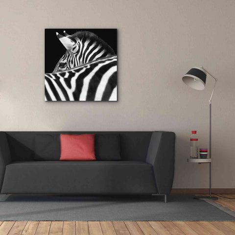 Image of 'Zebra III' by Debra Van Swearingen, Canvas Wall Art,37 x 37