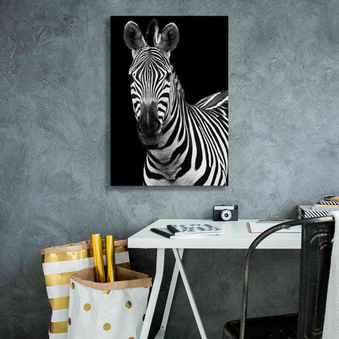 Image of 'Zebra II' by Debra Van Swearingen, Canvas Wall Art,18 x 26