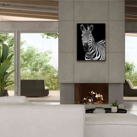 Image of 'Zebra II' by Debra Van Swearingen, Canvas Wall Art,26 x 34