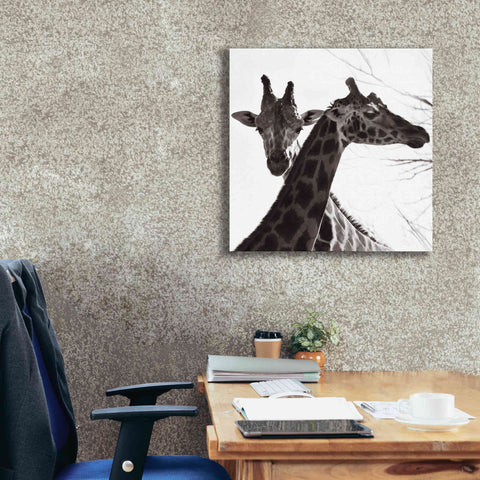 Image of 'Giraffe II' by Debra Van Swearingen, Canvas Wall Art,26 x 26