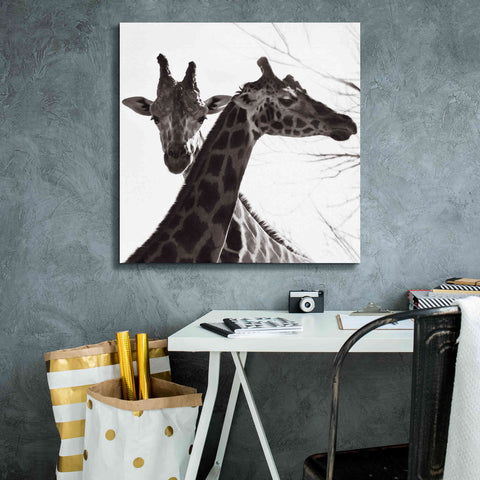 Image of 'Giraffe II' by Debra Van Swearingen, Canvas Wall Art,26 x 26