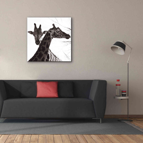 Image of 'Giraffe II' by Debra Van Swearingen, Canvas Wall Art,37 x 37