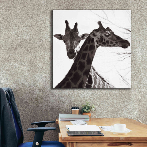 Image of 'Giraffe II' by Debra Van Swearingen, Canvas Wall Art,37 x 37