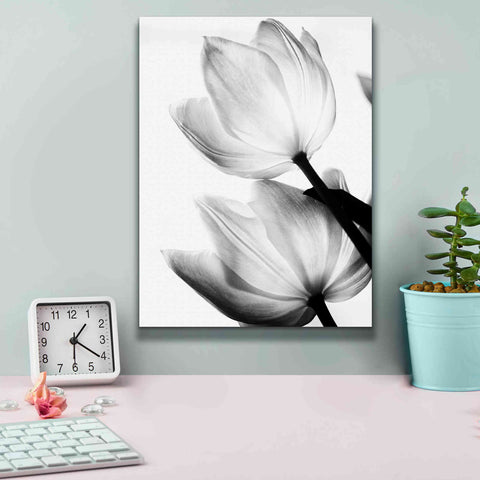 Image of 'Translucent Tulips II' by Debra Van Swearingen, Canvas Wall Art,12 x 16
