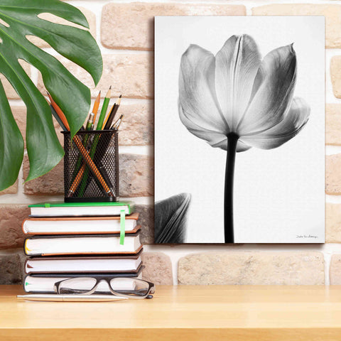 Image of 'Translucent Tulips I' by Debra Van Swearingen, Canvas Wall Art,12 x 16
