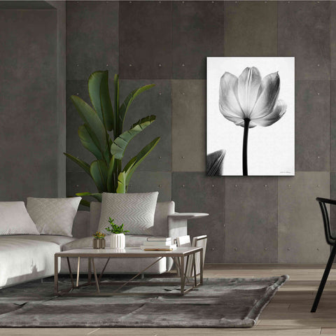 Image of 'Translucent Tulips I' by Debra Van Swearingen, Canvas Wall Art,40 x 54