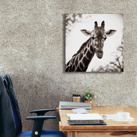 Image of 'Giraffe I' by Debra Van Swearingen, Canvas Wall Art,26 x 26