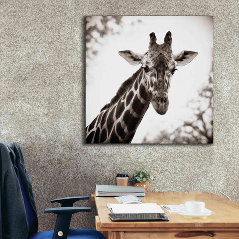 Image of 'Giraffe I' by Debra Van Swearingen, Canvas Wall Art,37 x 37