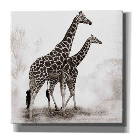 Image of 'Giraffe III' by Debra Van Swearingen, Canvas Wall Art,12x12x1.1x0,18x18x1.1x0,26x26x1.74x0,37x37x1.74x0