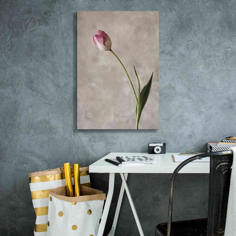 Image of 'Fresh Tulips II' by Debra Van Swearingen, Canvas Wall Art,18 x 26