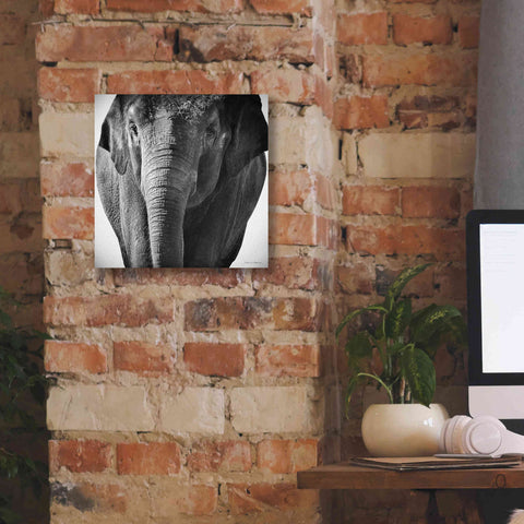 Image of 'Elephant I' by Debra Van Swearingen, Canvas Wall Art,12 x 12