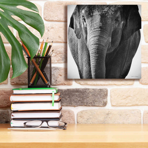 Image of 'Elephant I' by Debra Van Swearingen, Canvas Wall Art,12 x 12