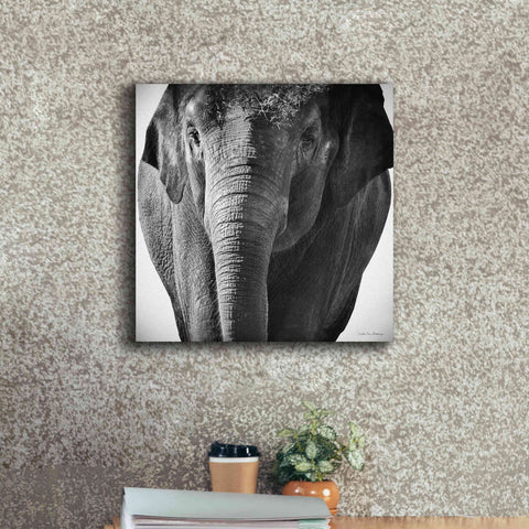 Image of 'Elephant I' by Debra Van Swearingen, Canvas Wall Art,18 x 18