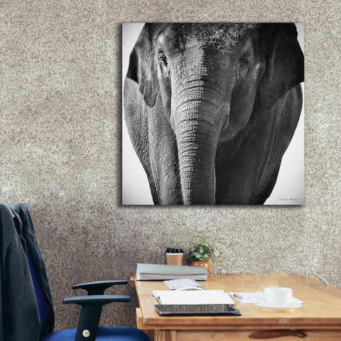 Image of 'Elephant I' by Debra Van Swearingen, Canvas Wall Art,37 x 37