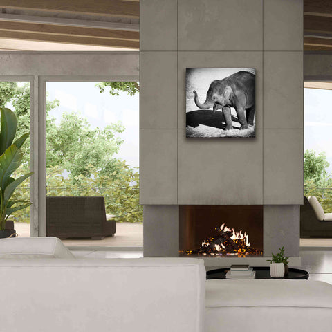 Image of 'Elephant IV' by Debra Van Swearingen, Canvas Wall Art,26 x 26