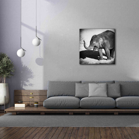 Image of 'Elephant IV' by Debra Van Swearingen, Canvas Wall Art,37 x 37