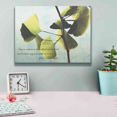 Image of 'Delicate Ginkgo' by Debra Van Swearingen, Canvas Wall Art,16 x 12