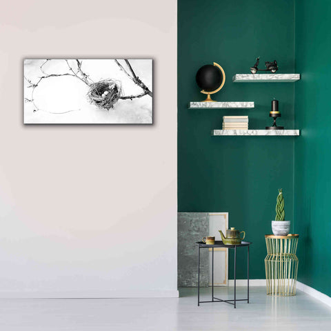 Image of 'Nest and Branch III' by Debra Van Swearingen, Canvas Wall Art,40 x 20