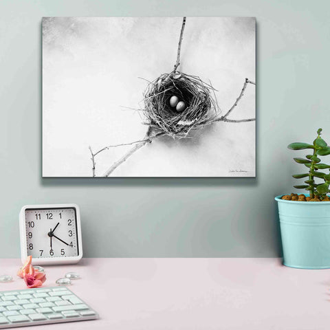 Image of 'Nest and Branch IV' by Debra Van Swearingen, Canvas Wall Art,16 x 12