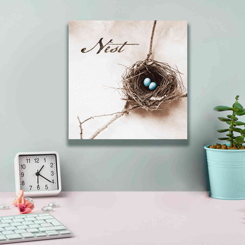 Image of 'Nest and Branch IV - Nest' by Debra Van Swearingen, Canvas Wall Art,12 x 12
