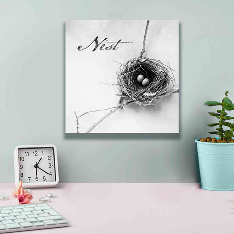 Image of 'Nest and Branch IV - Nest B&W' by Debra Van Swearingen, Canvas Wall Art,12 x 12