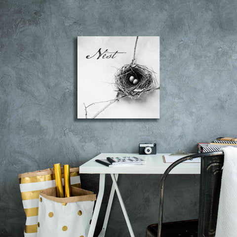 Image of 'Nest and Branch IV - Nest B&W' by Debra Van Swearingen, Canvas Wall Art,18 x 18