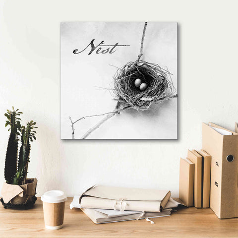 Image of 'Nest and Branch IV - Nest B&W' by Debra Van Swearingen, Canvas Wall Art,18 x 18