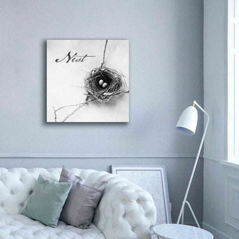 Image of 'Nest and Branch IV - Nest B&W' by Debra Van Swearingen, Canvas Wall Art,37 x 37