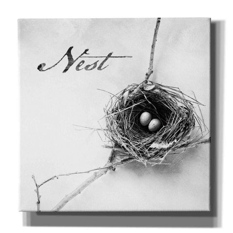 Image of 'Nest and Branch IV - Nest B&W' by Debra Van Swearingen, Canvas Wall Art,12x12x1.1x0,18x18x1.1x0,26x26x1.74x0,37x37x1.74x0