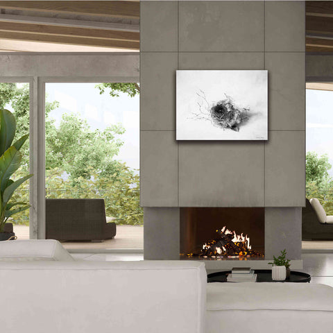 Image of 'Nestled III' by Debra Van Swearingen, Canvas Wall Art,34 x 26