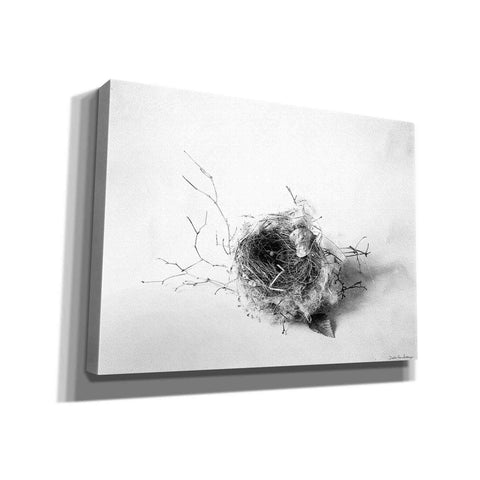 Image of 'Nestled III' by Debra Van Swearingen, Canvas Wall Art,16x12x1.1x0,26x18x1.1x0,34x26x1.74x0,54x40x1.74x0