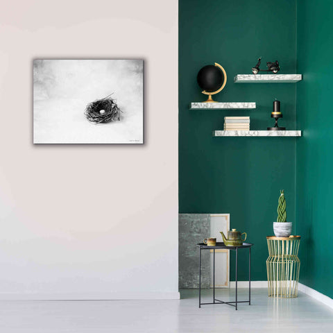 Image of 'Nestled V' by Debra Van Swearingen, Canvas Wall Art,34 x 26
